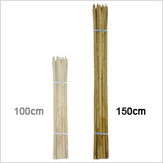 Chestnut Stake - 150 cm - 1m50